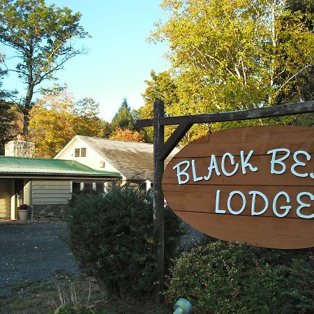 Black Bear Lodge Prattsville Exterior photo