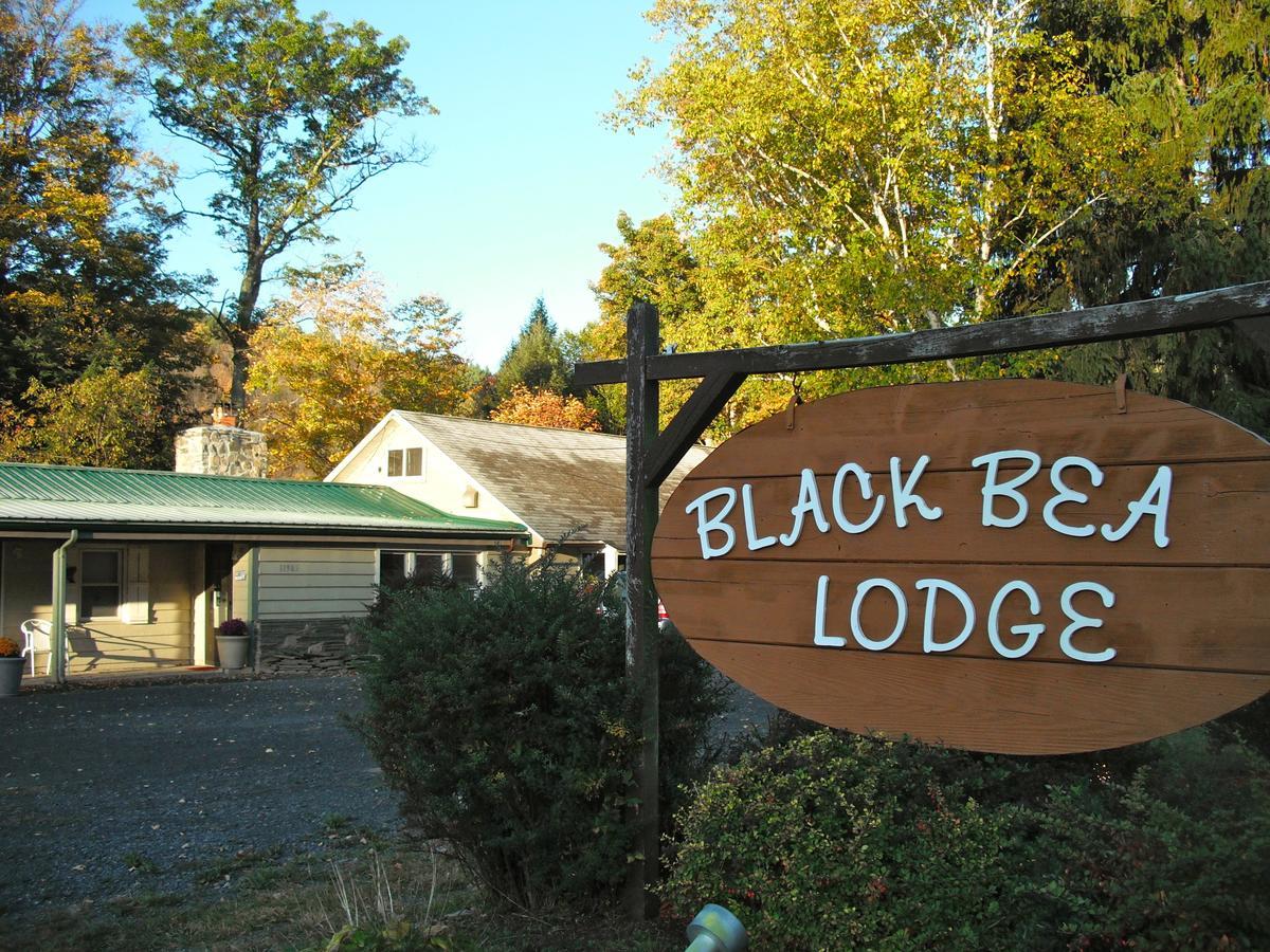 Black Bear Lodge Prattsville Exterior photo