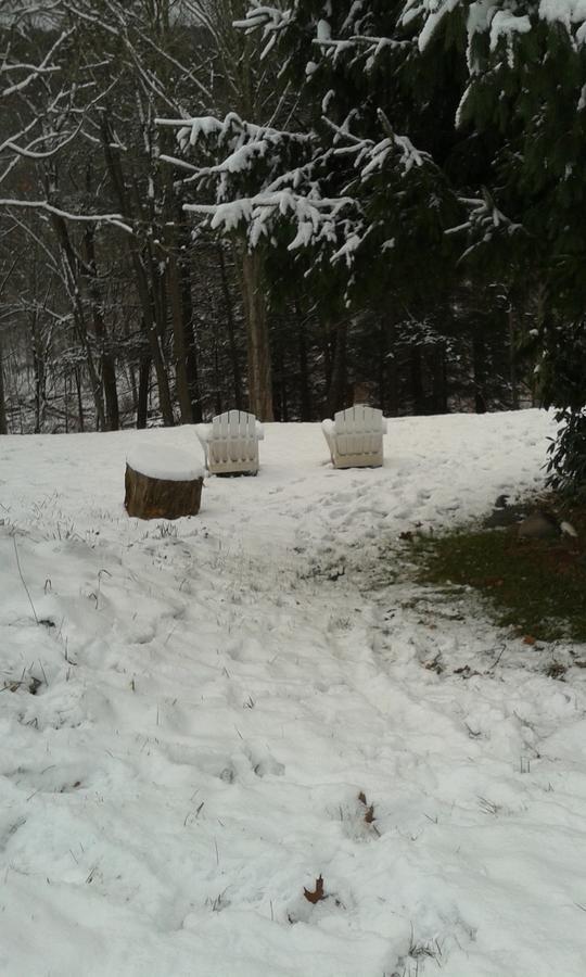 Black Bear Lodge Prattsville Exterior photo